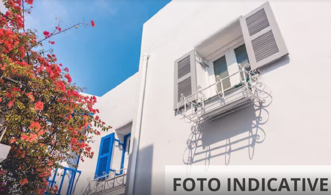 Foto annuncio 35
