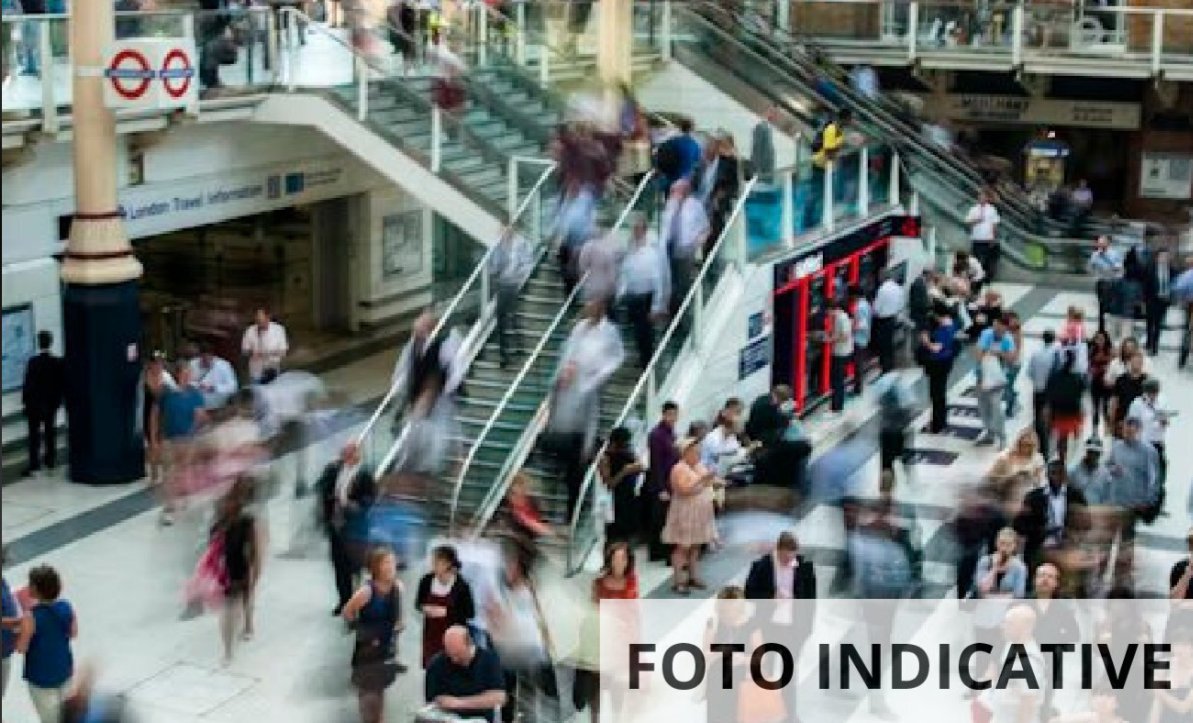 Foto annuncio 12