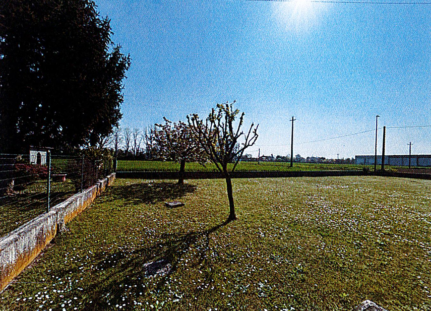 Foto annuncio 6