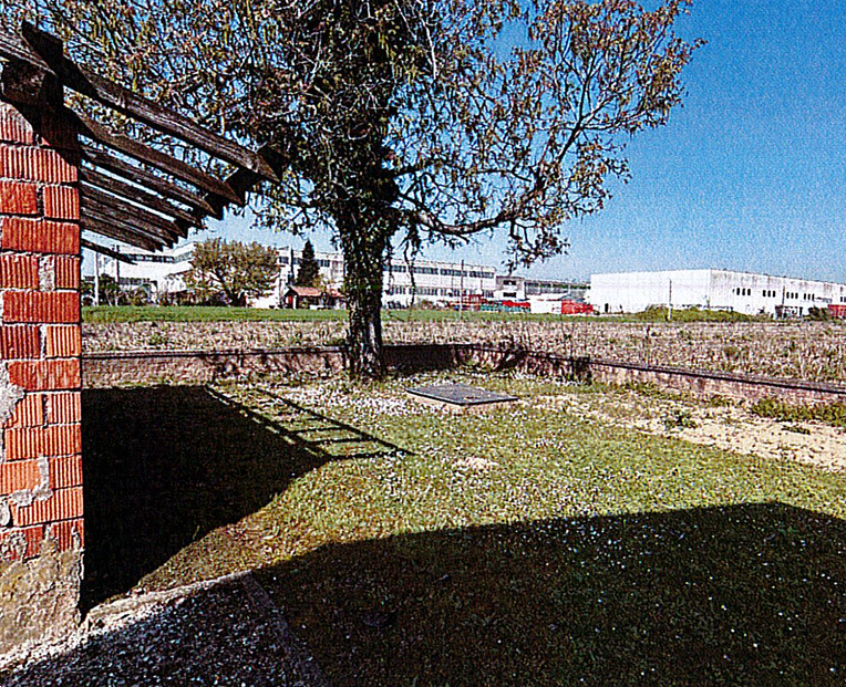 Foto annuncio 19