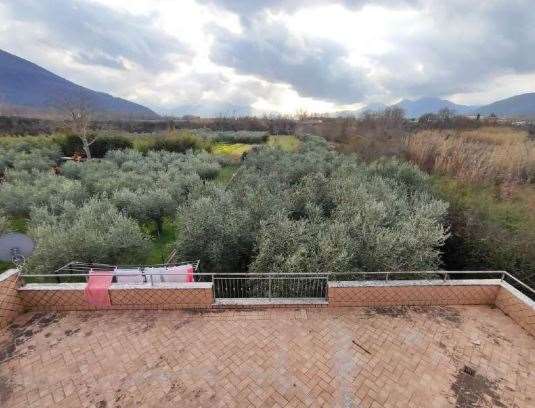 Foto annuncio 16