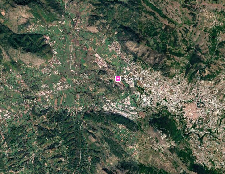 Foto annuncio 12