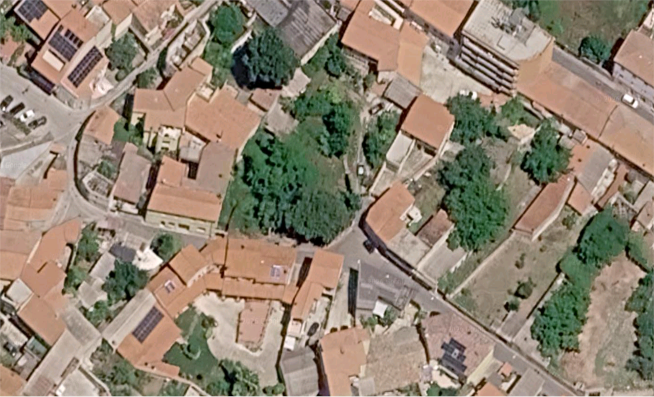 Foto annuncio 12
