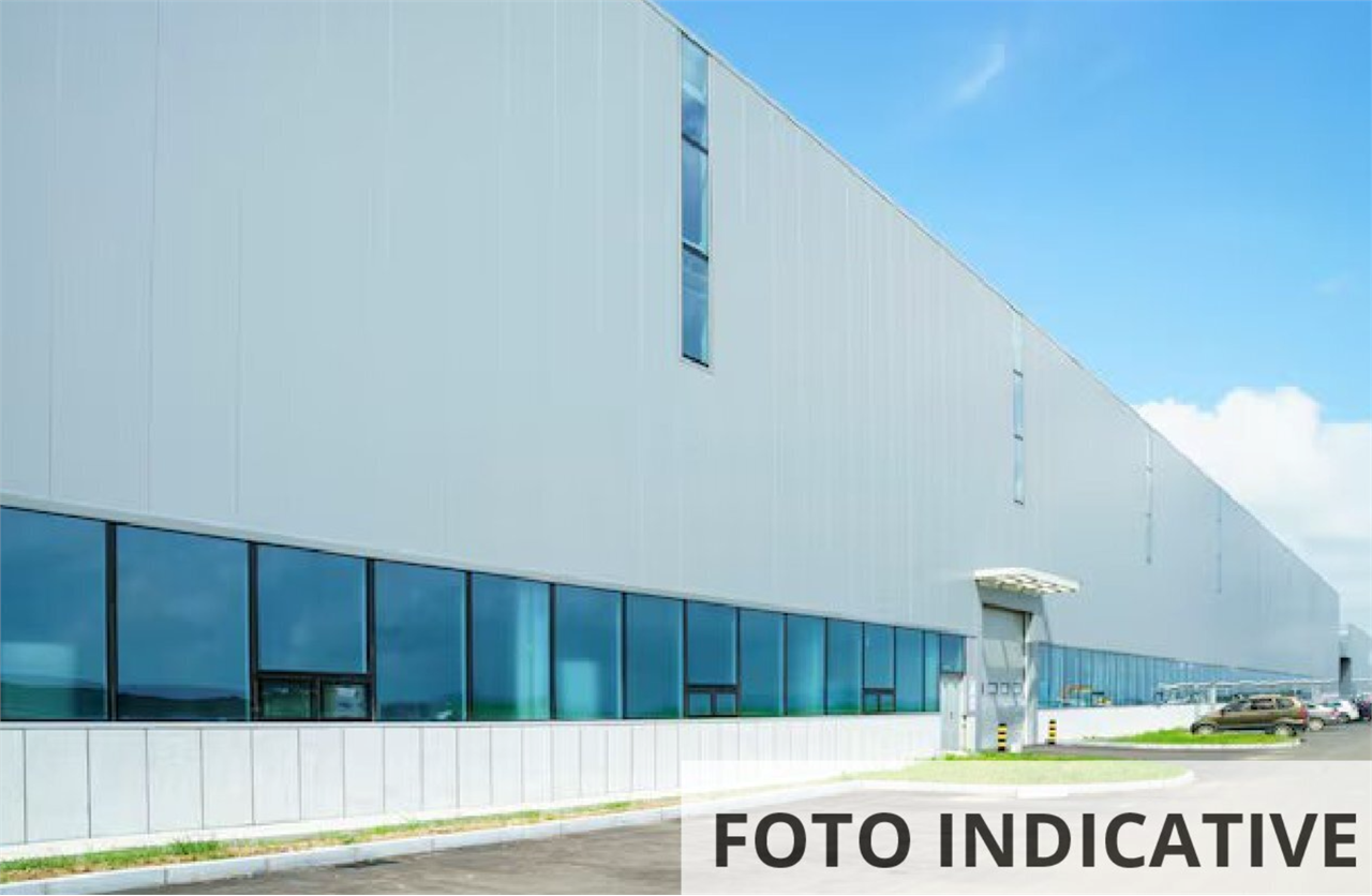 Foto annuncio 10