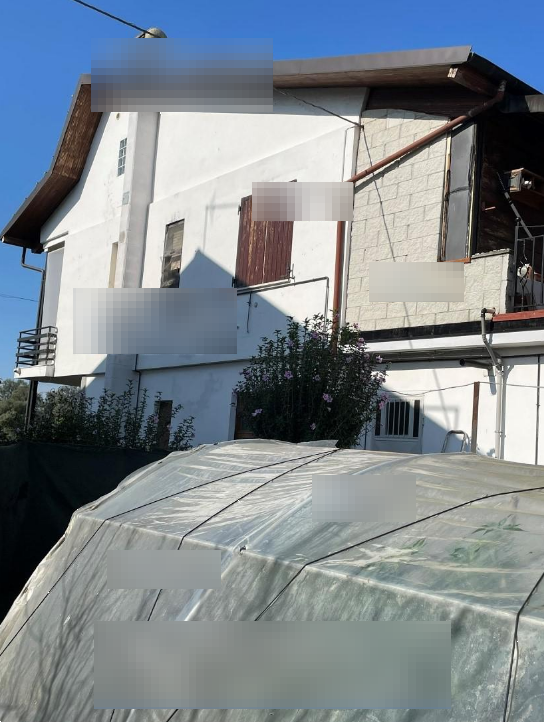 Foto annuncio 7
