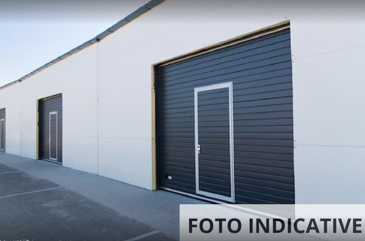 Foto annuncio 7