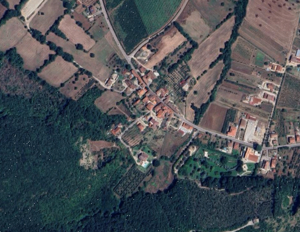 Foto annuncio 19