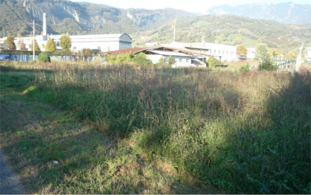 Foto annuncio 11