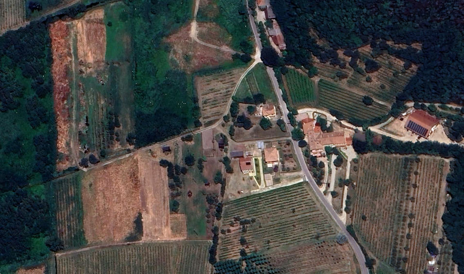 Foto annuncio 11