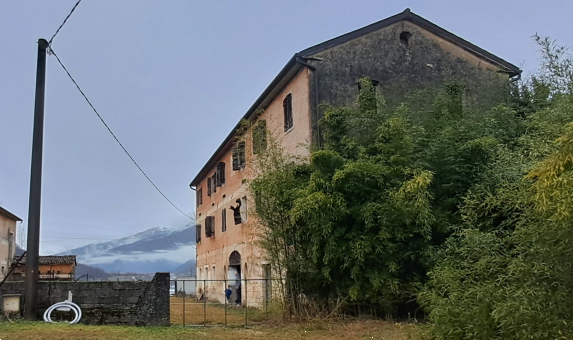 Foto annuncio 7