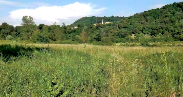 Foto annuncio 4