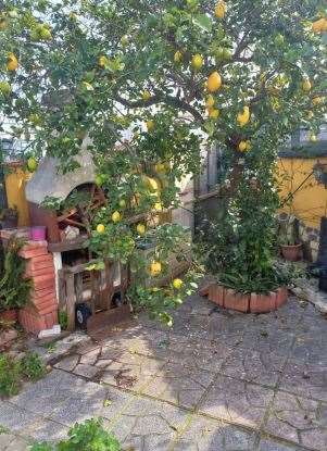 Foto annuncio 5