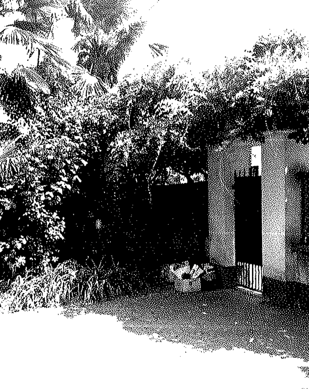 Foto annuncio 5