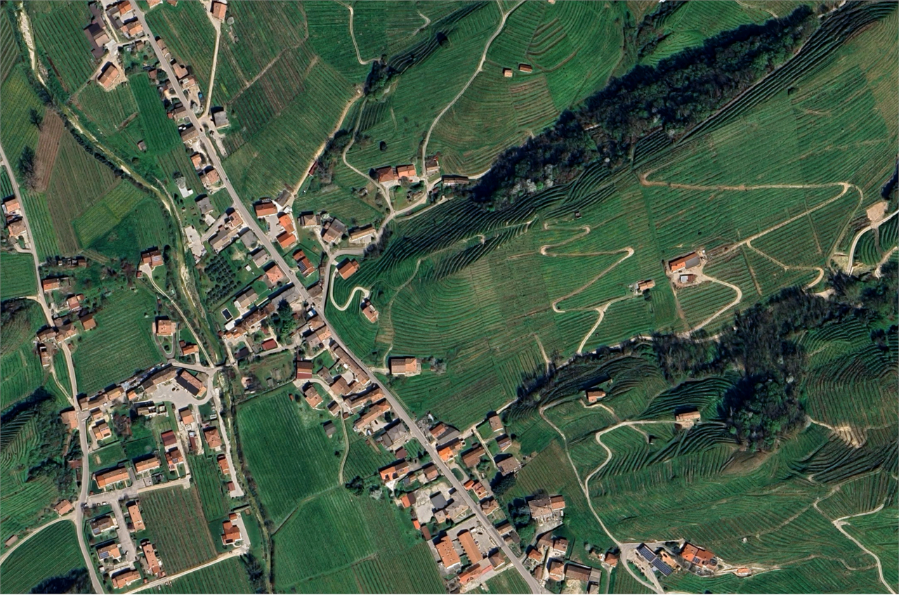 Foto annuncio 10
