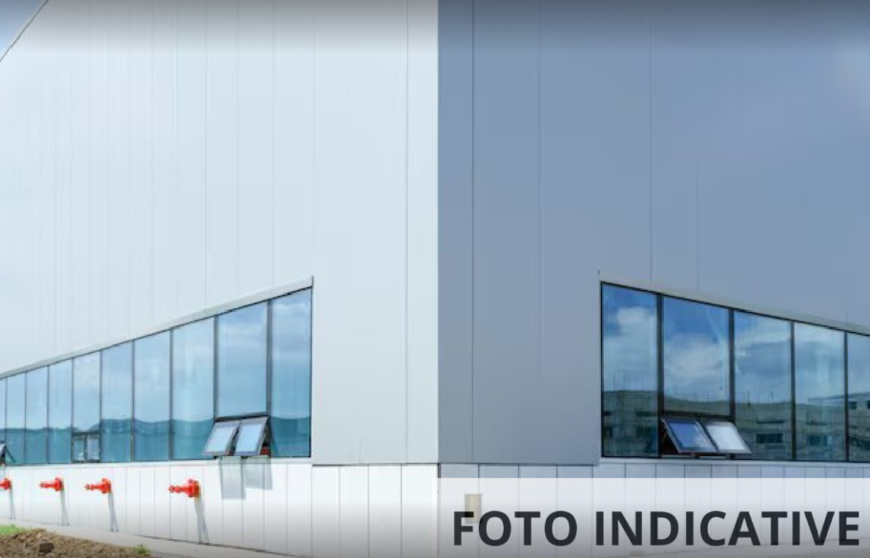Foto annuncio 7