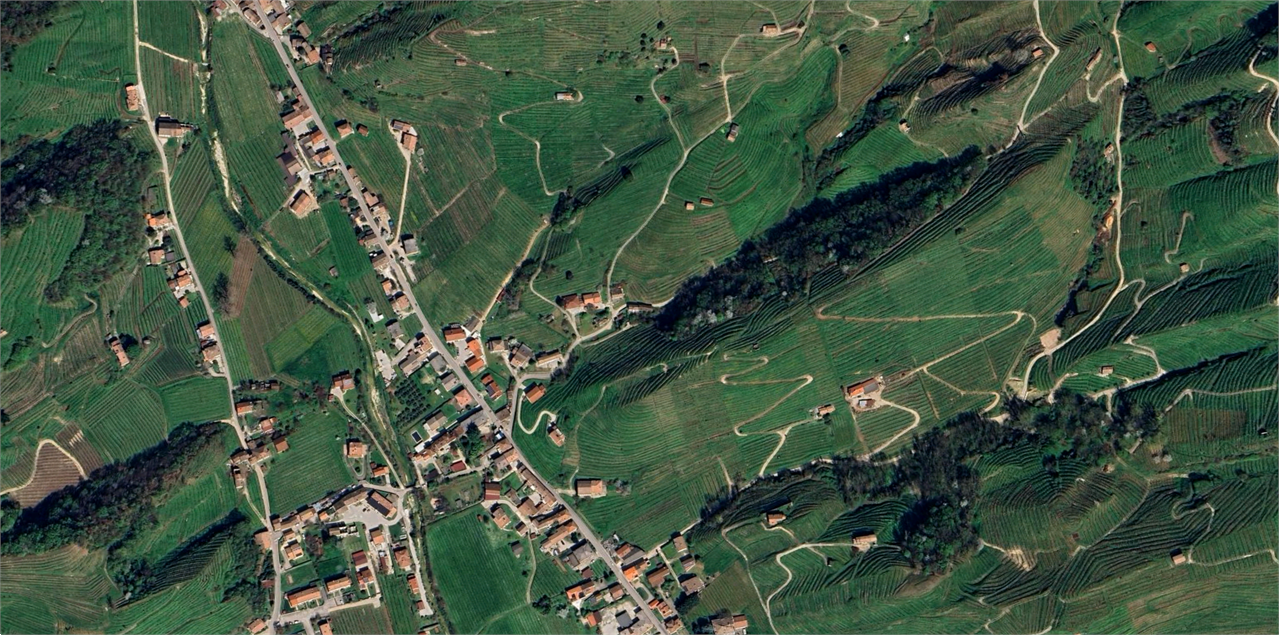 Foto annuncio 18