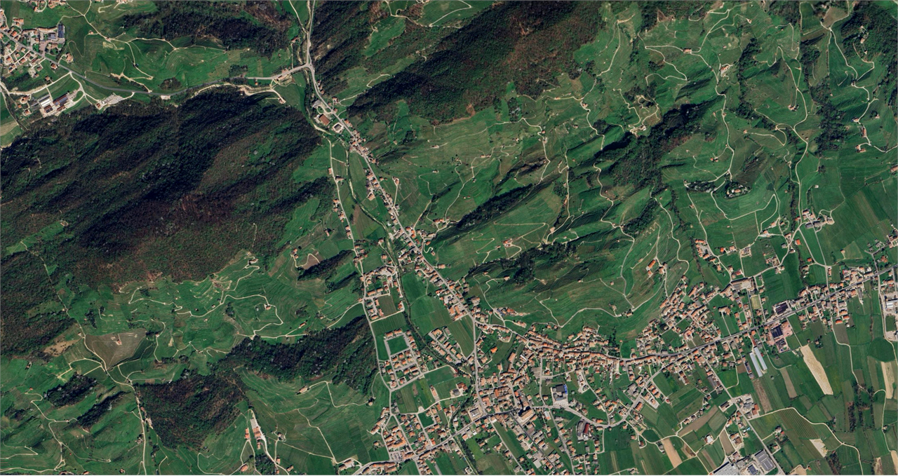 Foto annuncio 19