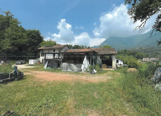 Foto annuncio 1