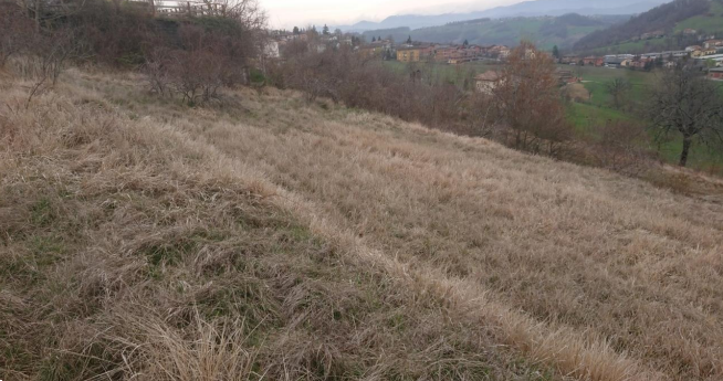 Foto annuncio 10