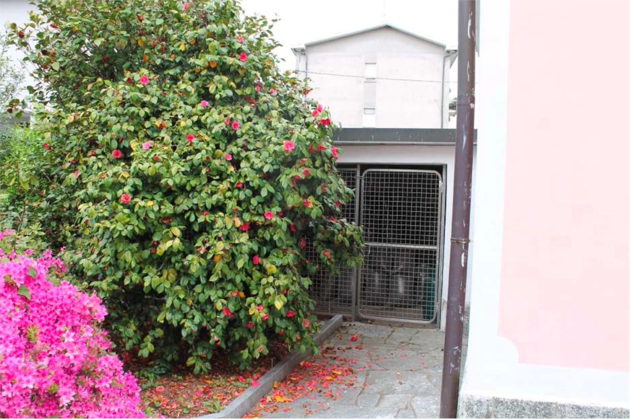 Foto annuncio 10