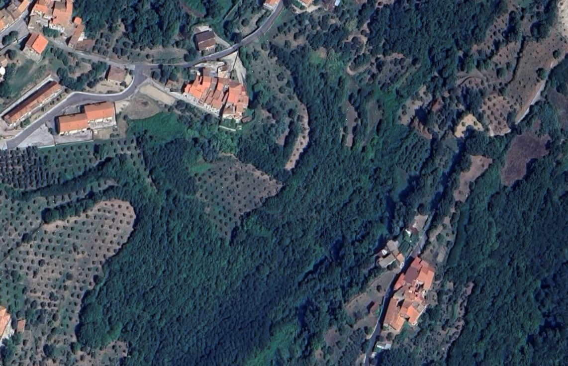 Foto annuncio 7