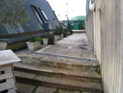 Foto annuncio 4