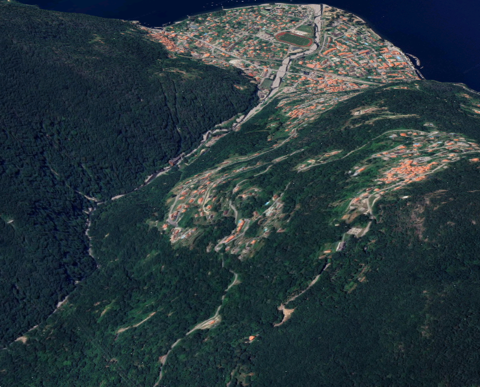 Foto annuncio 10