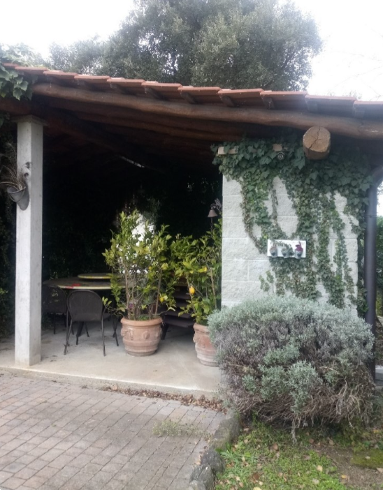 Foto annuncio 6