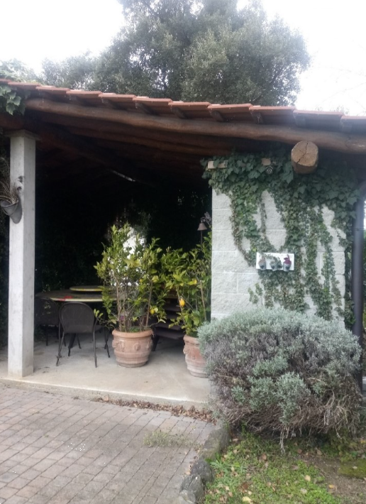 Foto annuncio 4