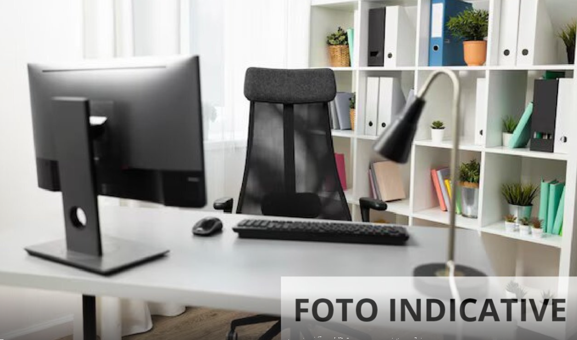 Foto annuncio 13