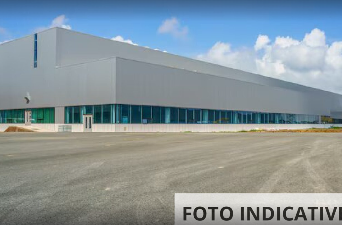 Foto annuncio 9