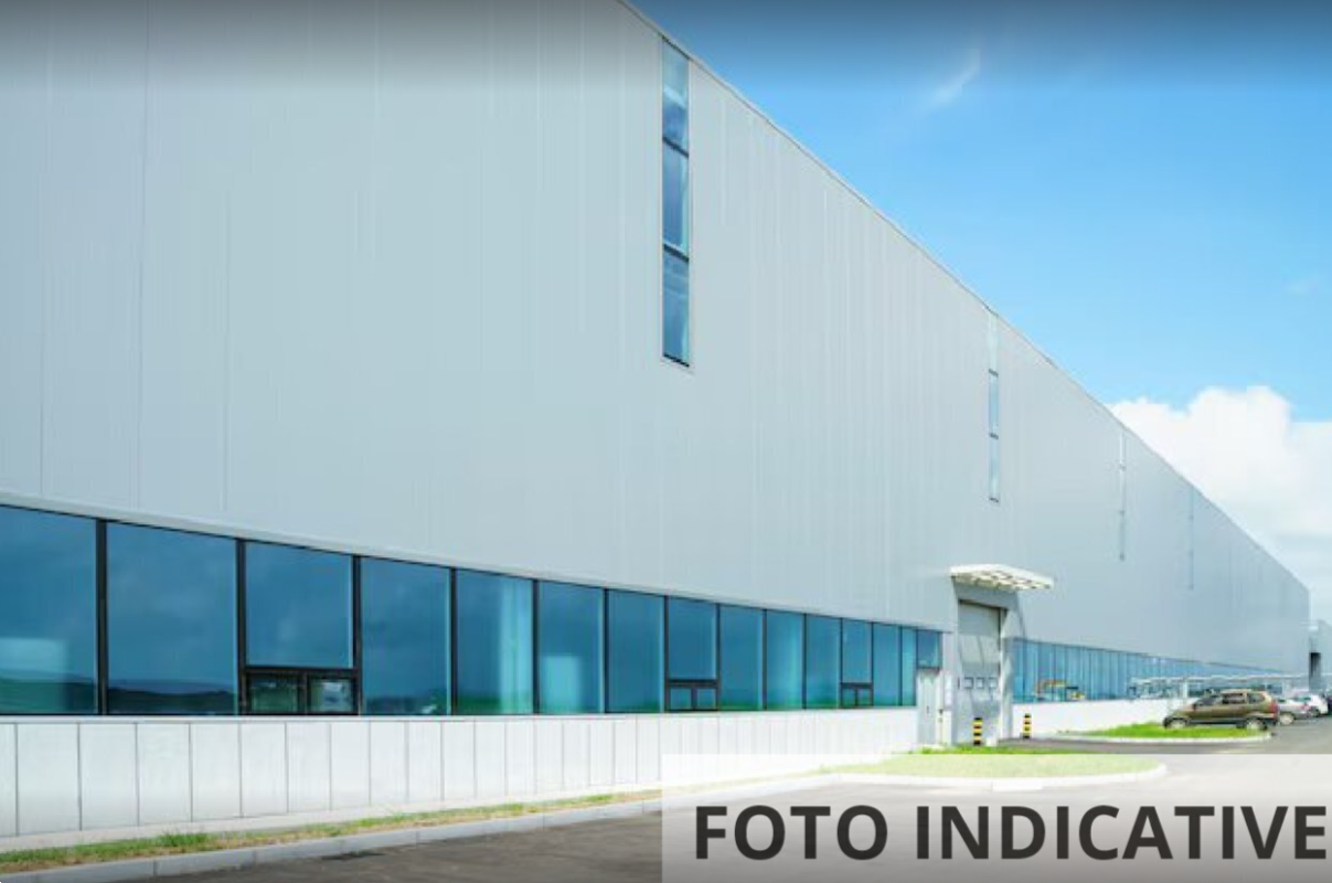 Foto annuncio 10