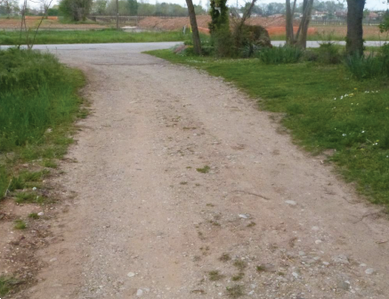 Foto annuncio 5