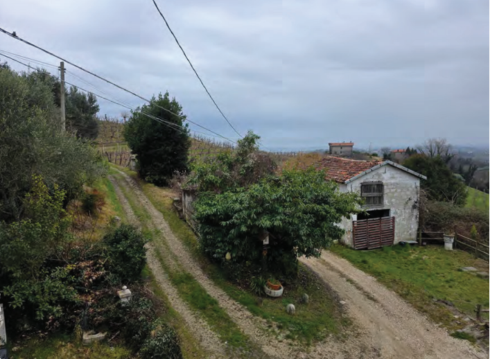 Foto annuncio 8