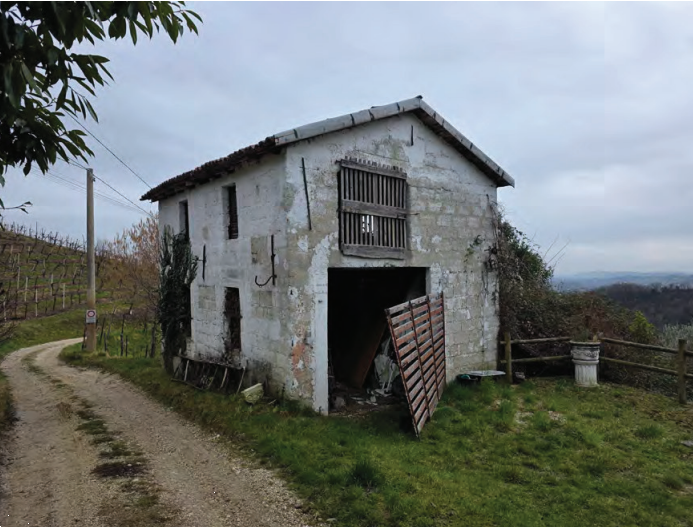 Foto annuncio 9