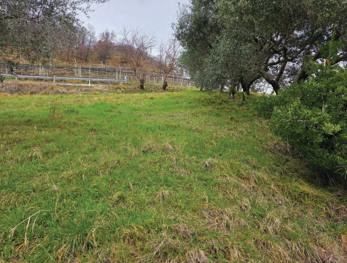 Foto annuncio 19