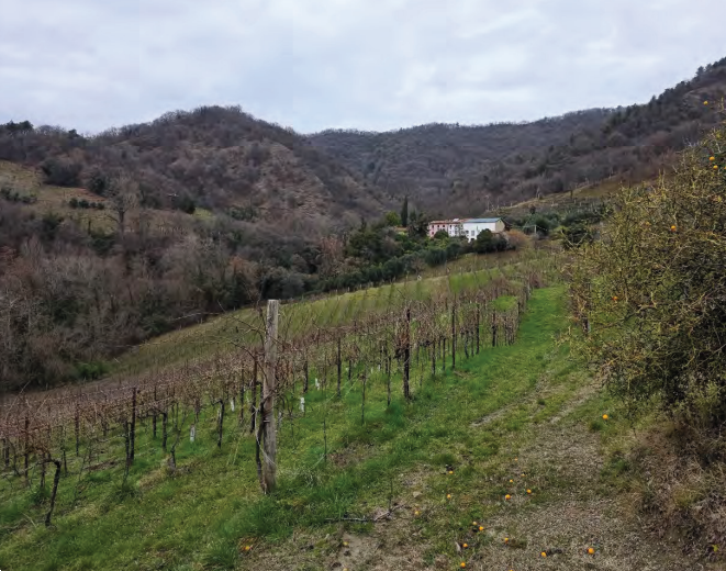 Foto annuncio 30