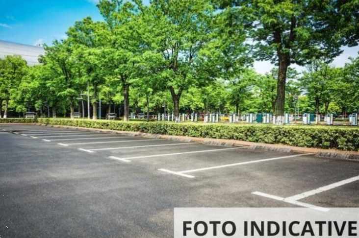 Foto annuncio 5
