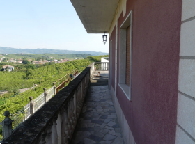 Foto annuncio 4