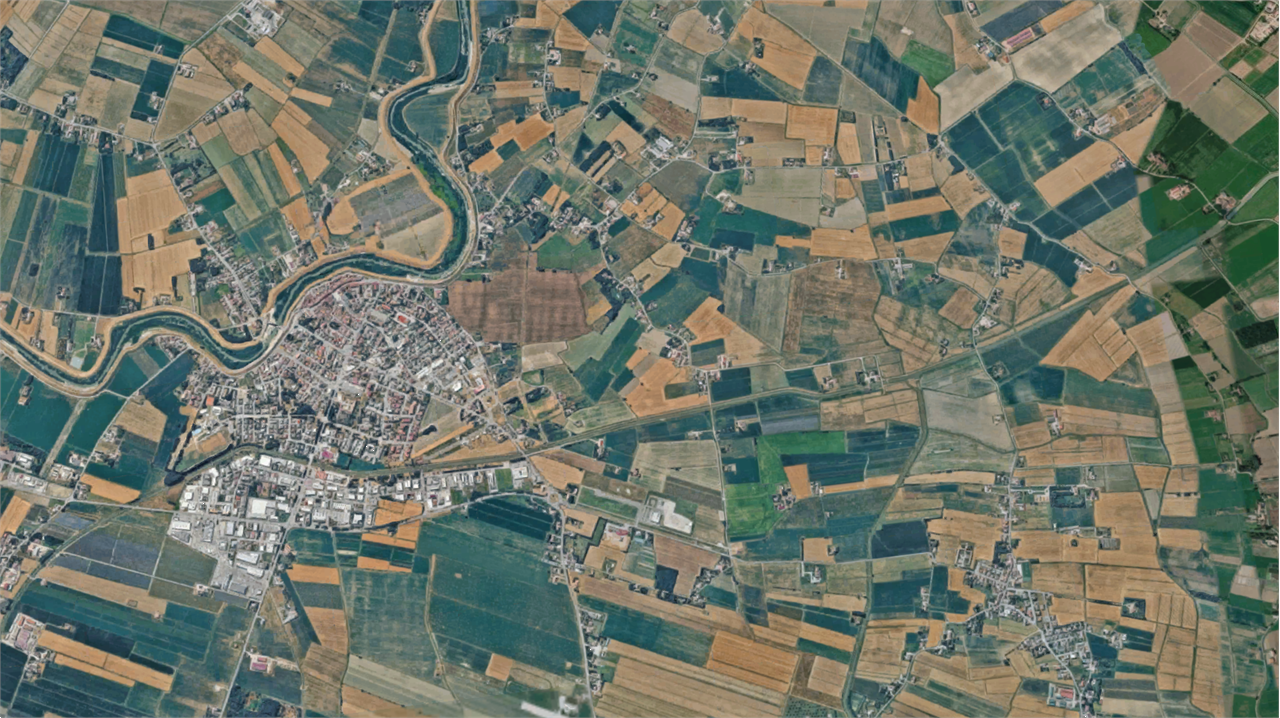 Foto annuncio 11