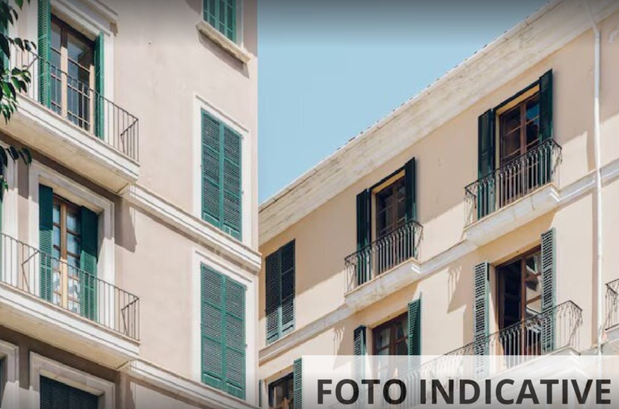 Foto annuncio 13
