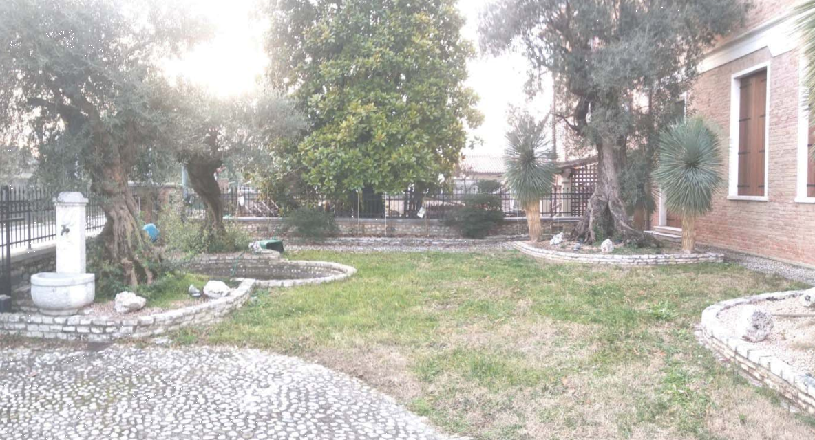 Foto annuncio 5