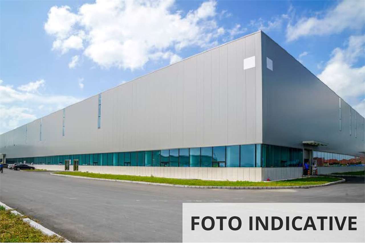 Foto annuncio 12