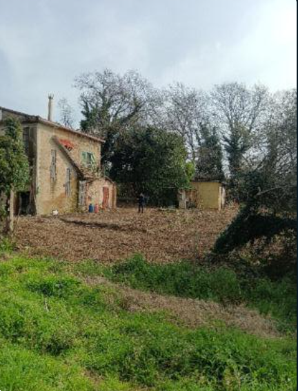 Foto annuncio 6