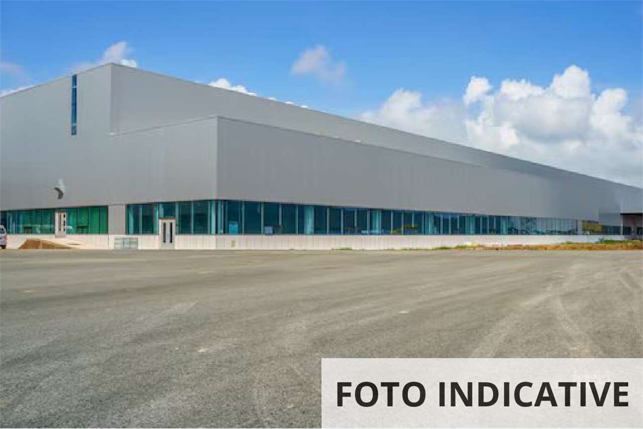 Foto annuncio 12