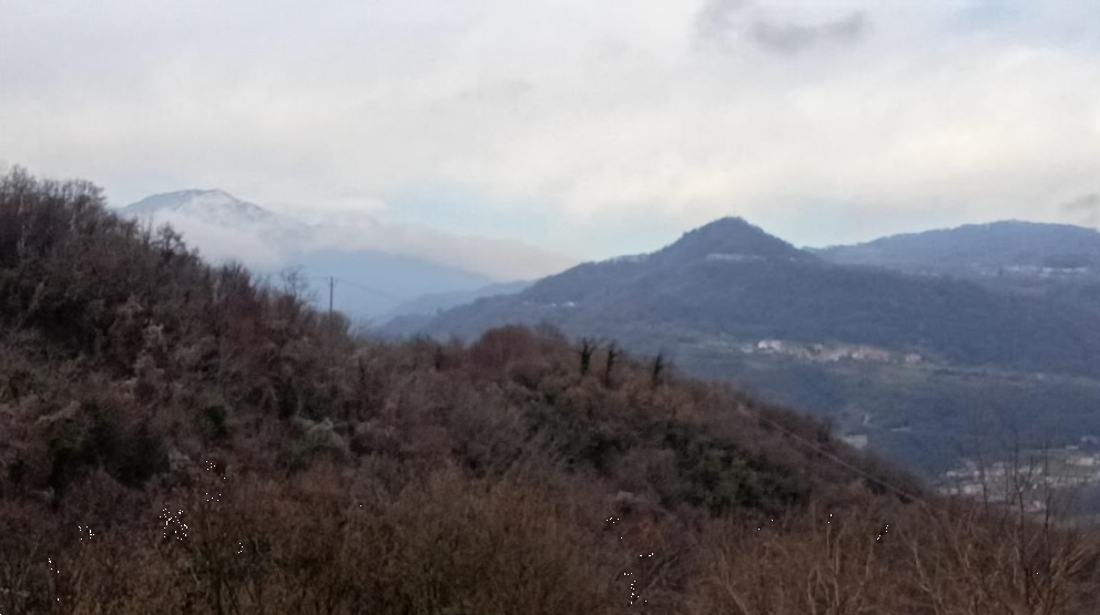 Foto annuncio 1