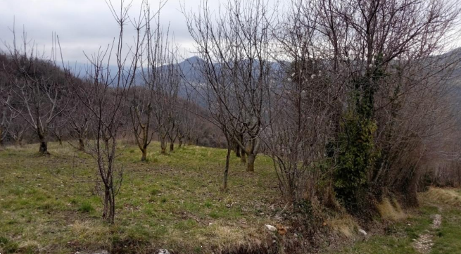 Foto annuncio 2
