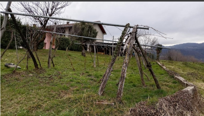 Foto annuncio 1