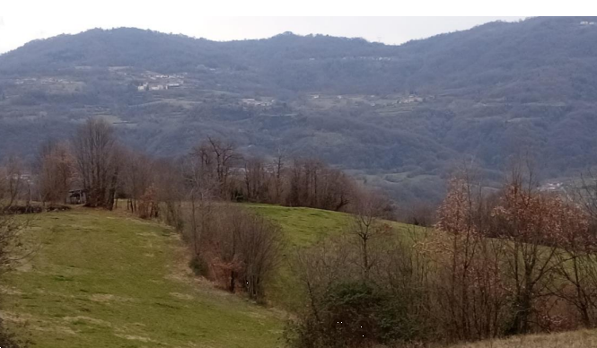Foto annuncio 1
