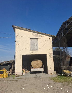 Foto annuncio 10